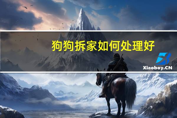 狗狗拆家如何处理好