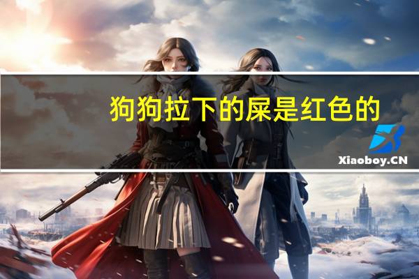 狗狗拉下的屎是红色的