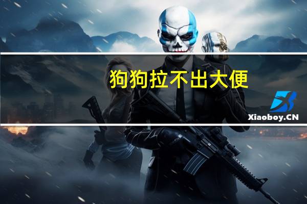 狗狗拉不出大便