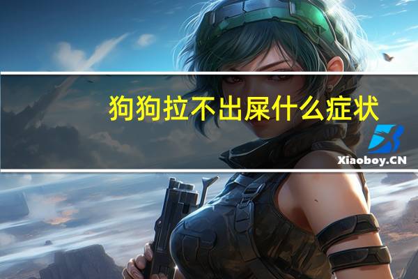 狗狗拉不出屎什么症状