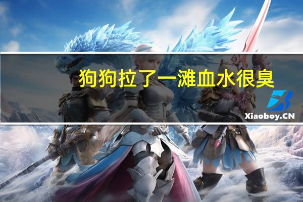 狗狗拉了一滩血水很臭