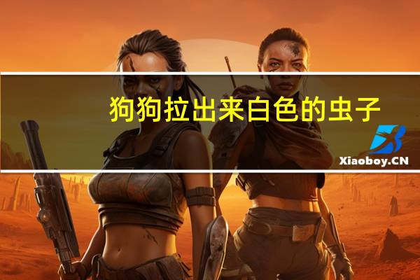 狗狗拉出来白色的虫子