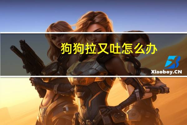 狗狗拉又吐怎么办
