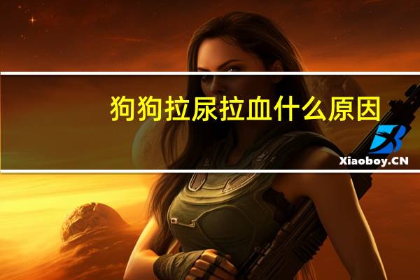 狗狗拉尿拉血什么原因