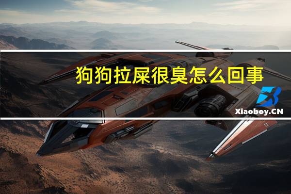 狗狗拉屎很臭怎么回事