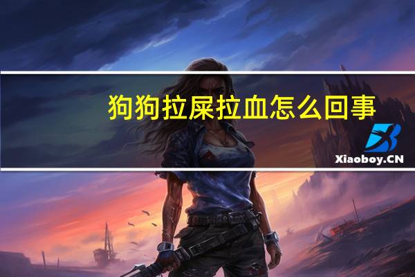 狗狗拉屎拉血怎么回事