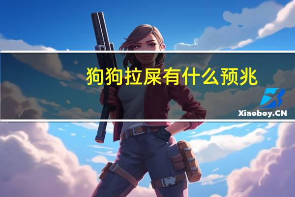 狗狗拉屎有什么预兆