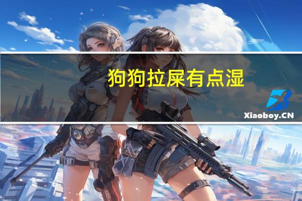 狗狗拉屎有点湿