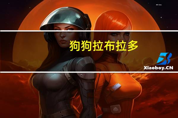狗狗拉布拉多
