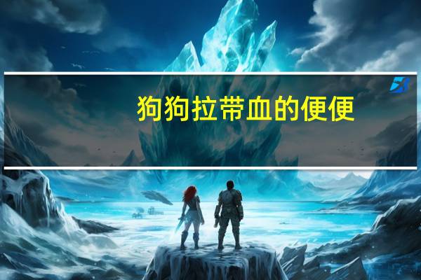 狗狗拉带血的便便