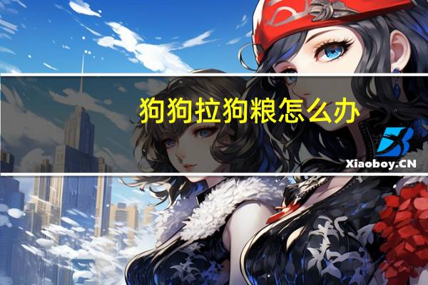 狗狗拉狗粮怎么办