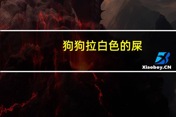 狗狗拉白色的屎