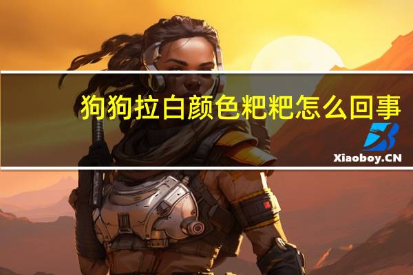 狗狗拉白颜色粑粑怎么回事