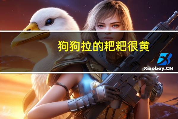 狗狗拉的粑粑很黄