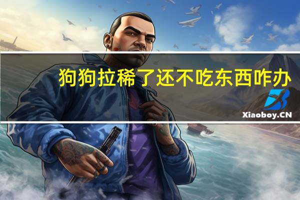 狗狗拉稀了还不吃东西咋办