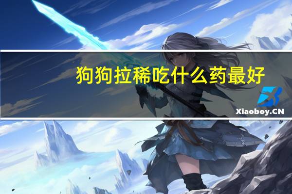 狗狗拉稀吃什么药最好
