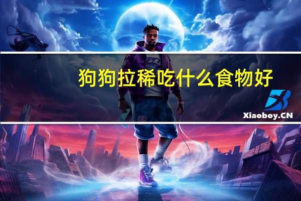 狗狗拉稀吃什么食物好