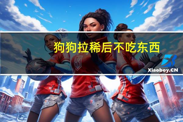 狗狗拉稀后不吃东西
