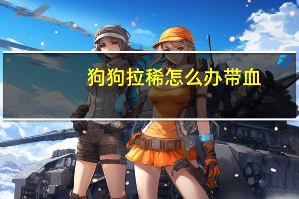 狗狗拉稀怎么办带血