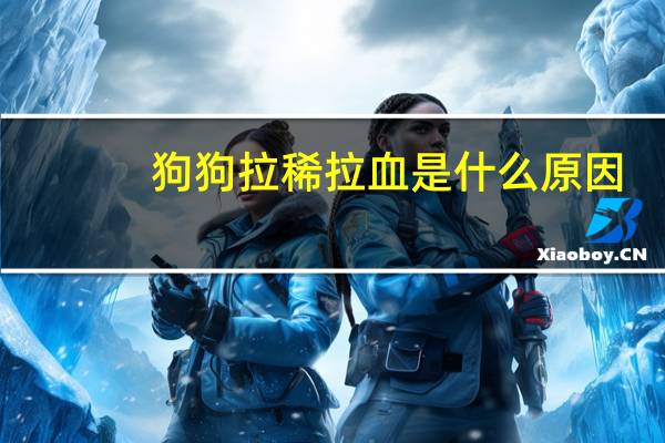 狗狗拉稀拉血是什么原因