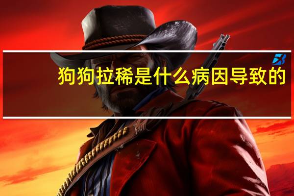 狗狗拉稀是什么病因导致的