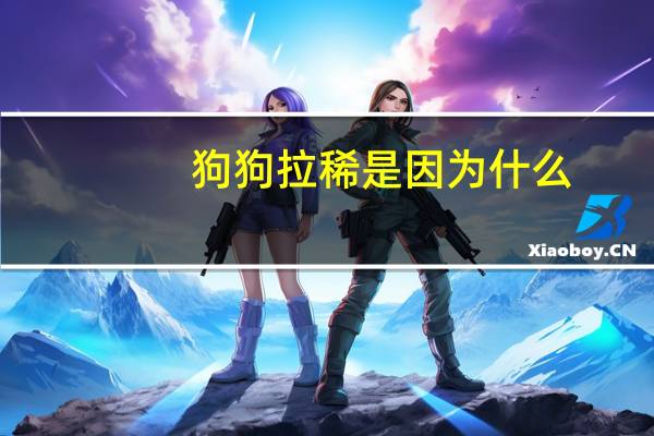 狗狗拉稀是因为什么