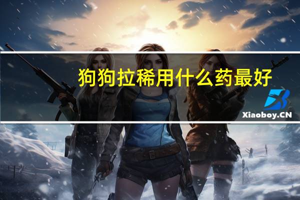 狗狗拉稀用什么药最好