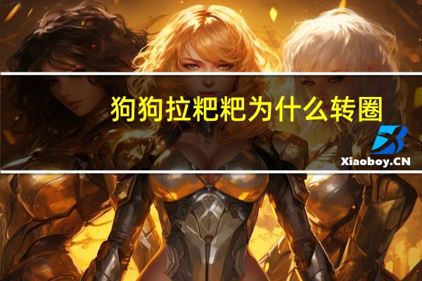 狗狗拉粑粑为什么转圈