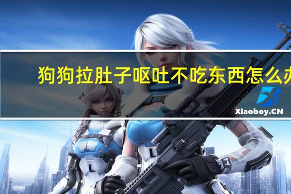 狗狗拉肚子呕吐不吃东西怎么办