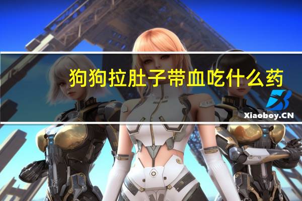 狗狗拉肚子带血吃什么药