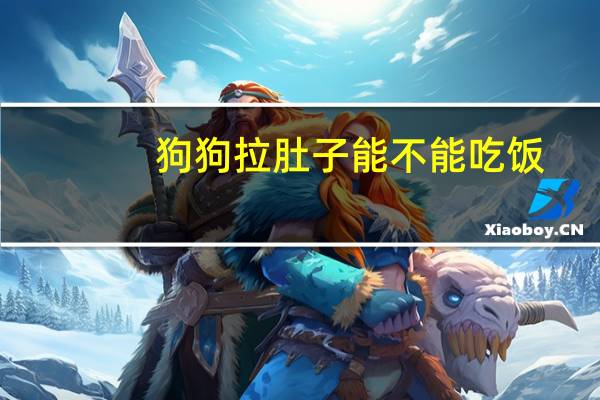 狗狗拉肚子能不能吃饭