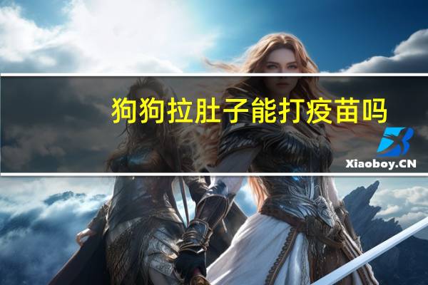 狗狗拉肚子能打疫苗吗