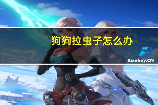 狗狗拉虫子怎么办