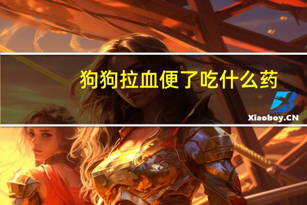 狗狗拉血便了吃什么药