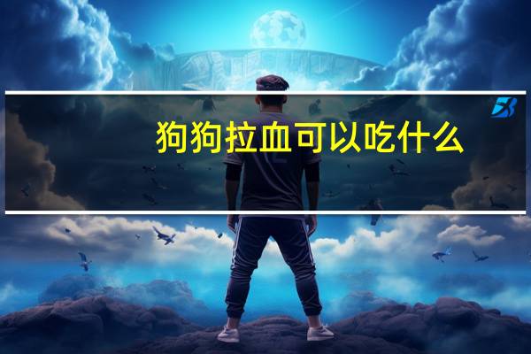 狗狗拉血可以吃什么