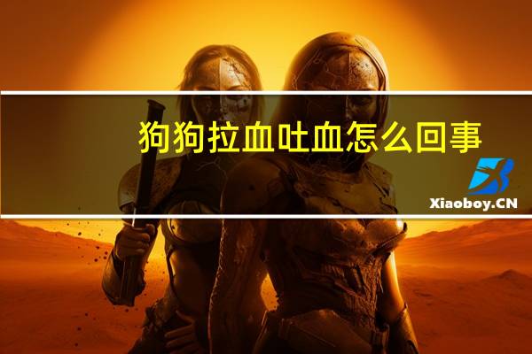 狗狗拉血吐血怎么回事