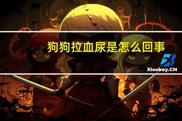狗狗拉血尿是怎么回事