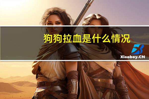狗狗拉血是什么情况