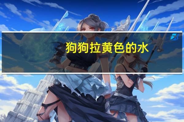 狗狗拉黄色的水