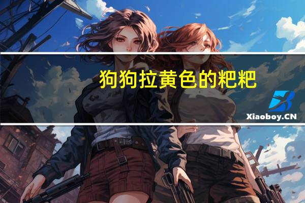 狗狗拉黄色的粑粑