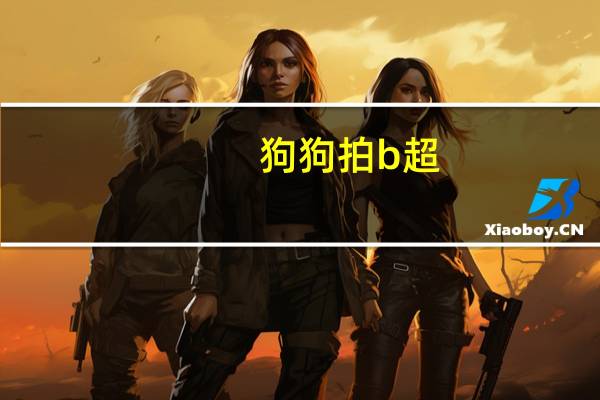 狗狗拍b超