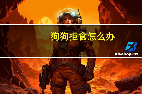 狗狗拒食怎么办
