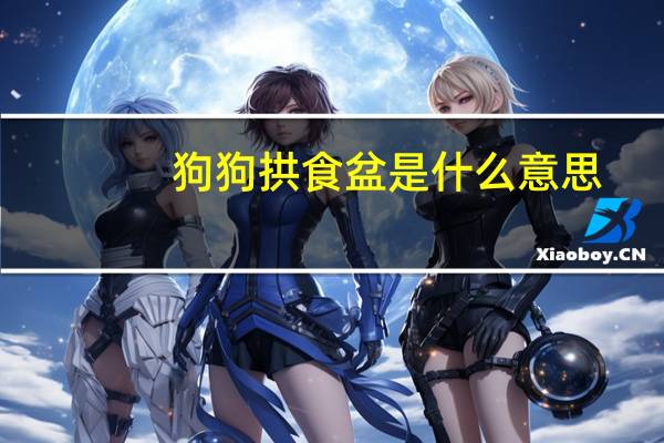 狗狗拱食盆是什么意思