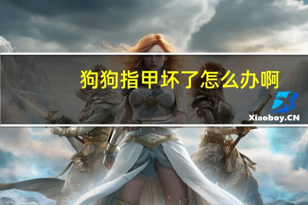 狗狗指甲坏了怎么办啊