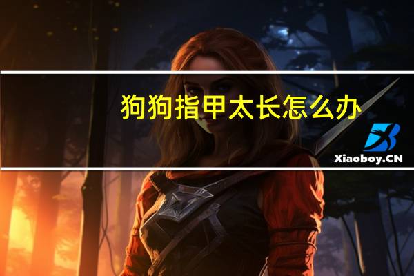 狗狗指甲太长怎么办