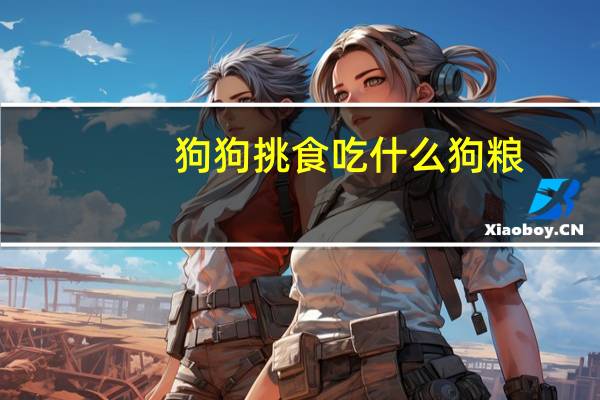 狗狗挑食吃什么狗粮