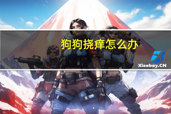 狗狗挠痒怎么办