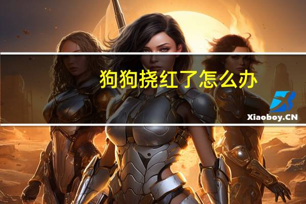 狗狗挠红了怎么办