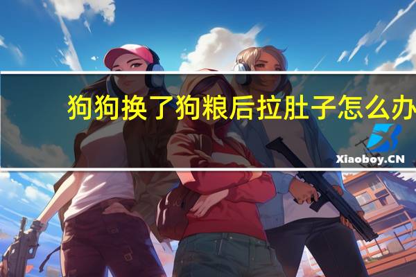 狗狗换了狗粮后拉肚子怎么办
