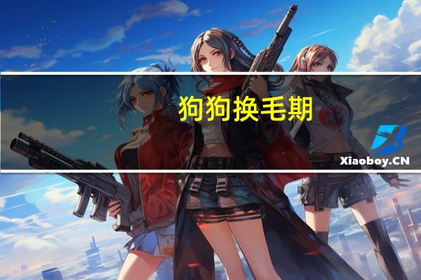 狗狗换毛期